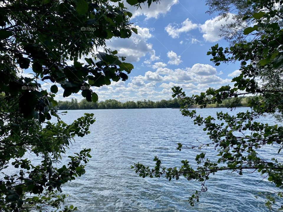 Look behind the trees 