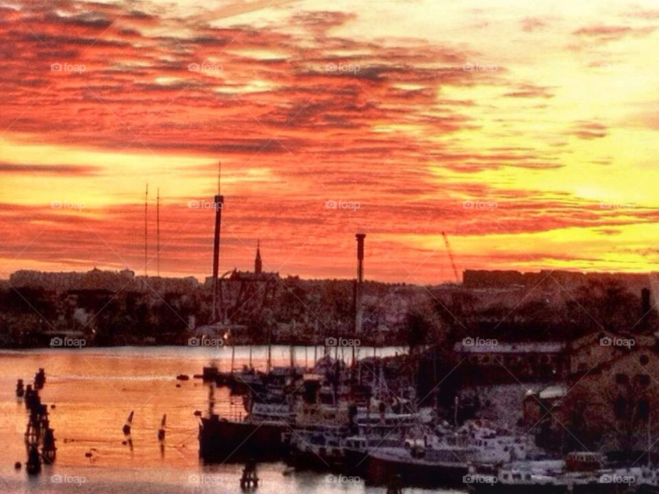 Sunset harbour