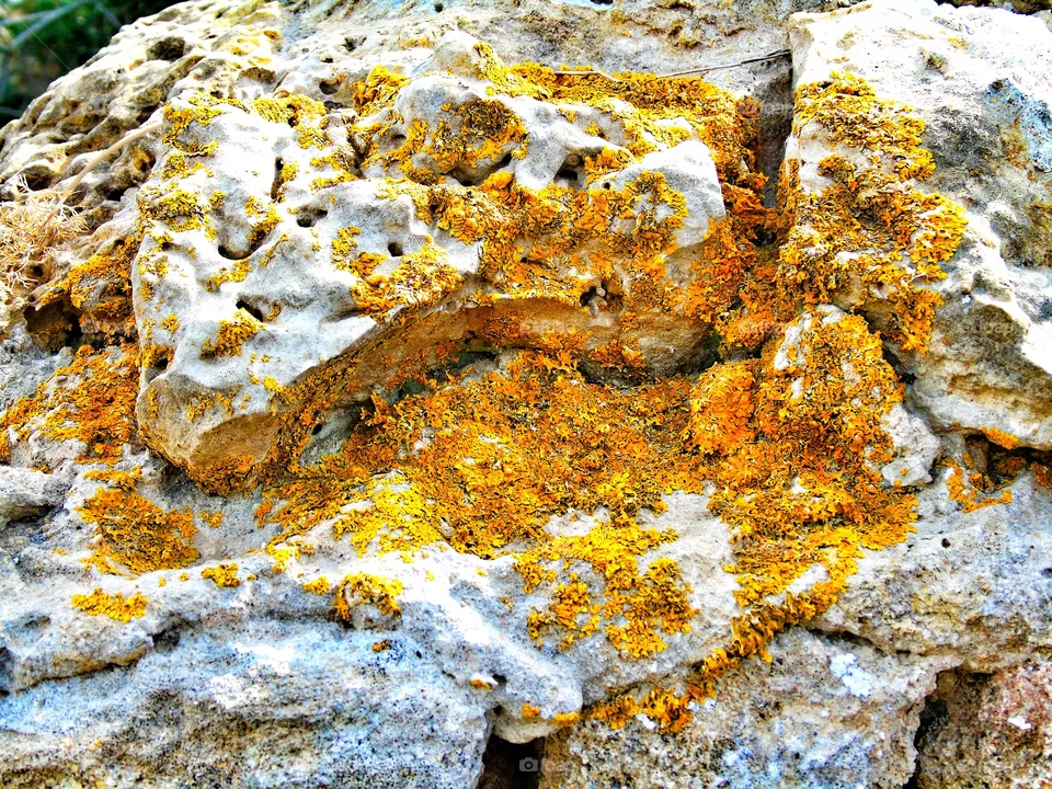 stone