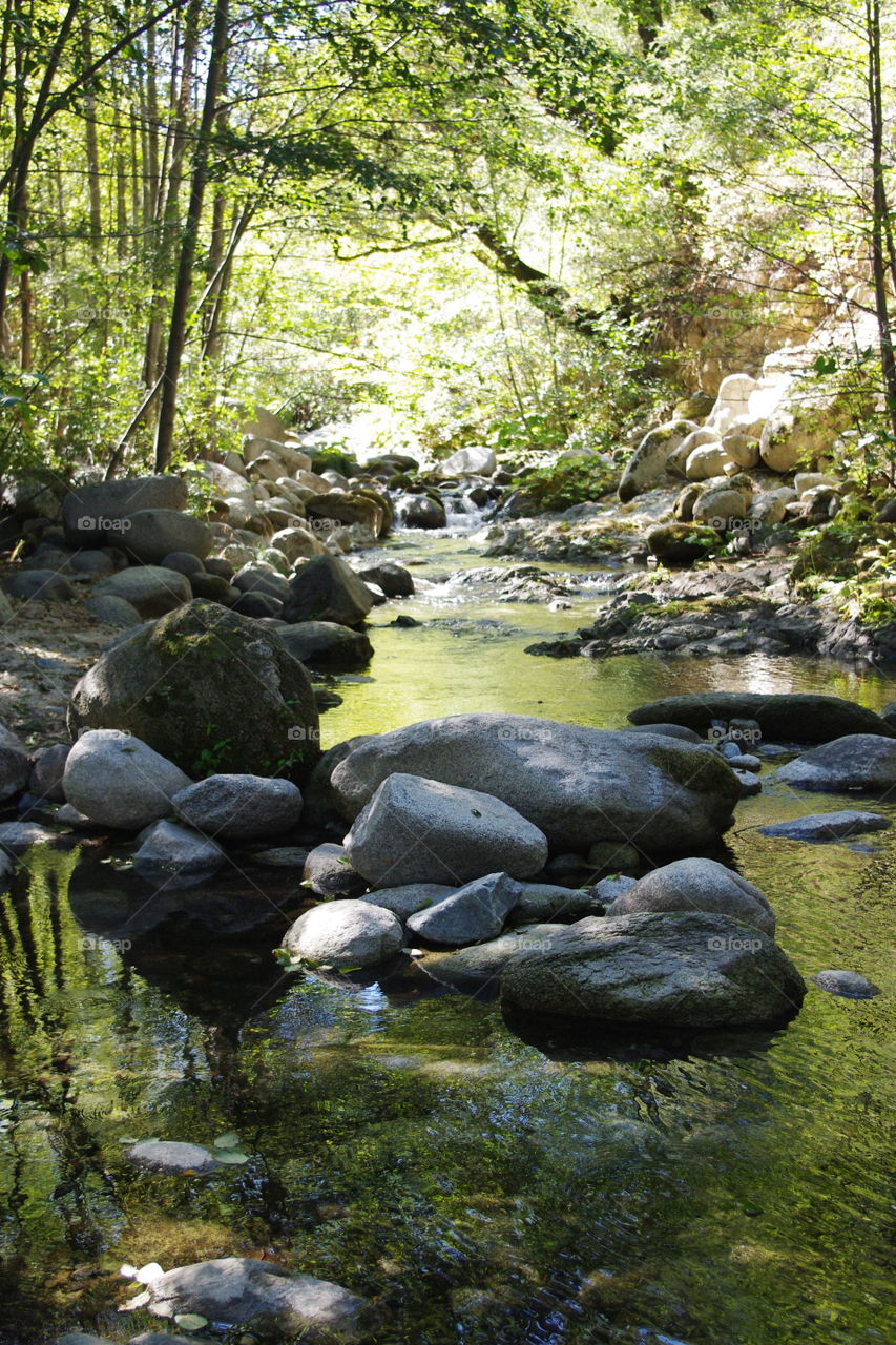 Summer creek with rocks and trees