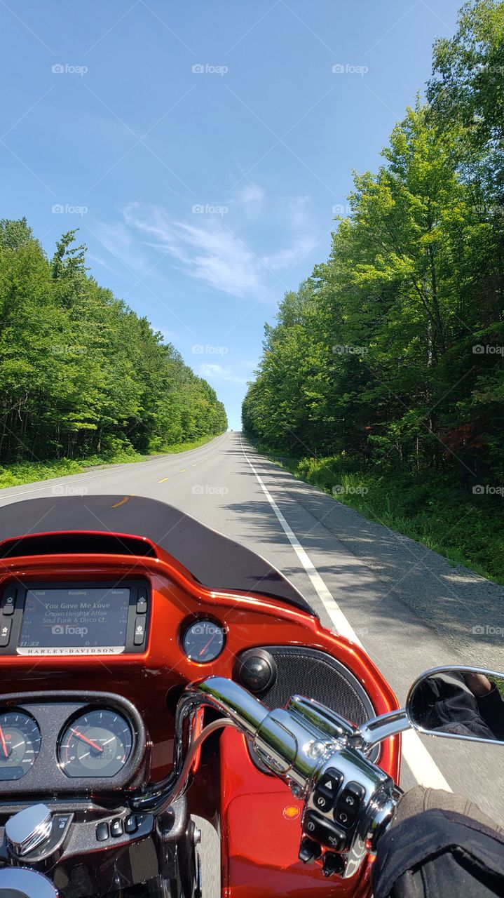 on the road with nature "