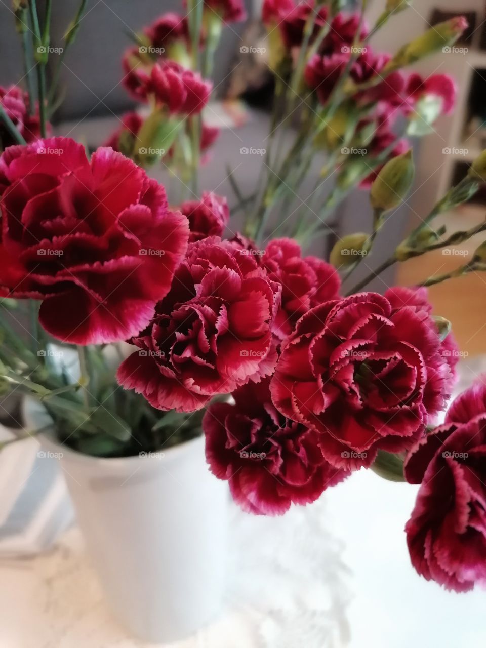 The gorgeous red carnations glow!
