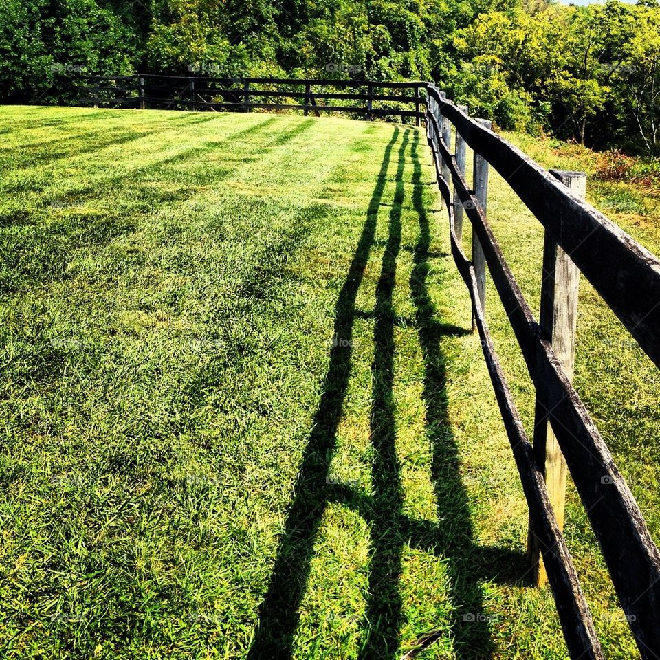 Fence shadow