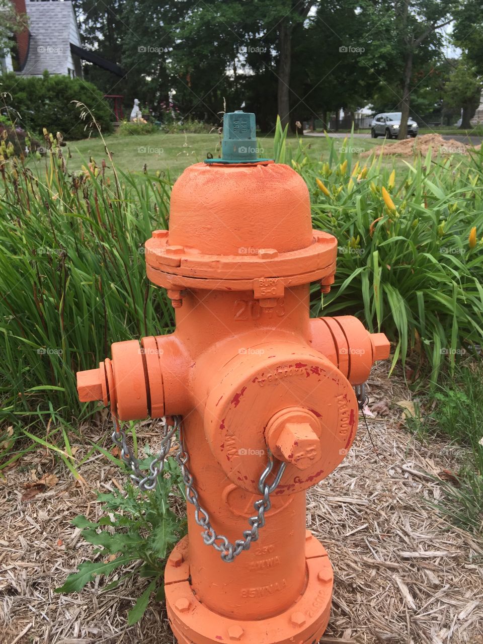 Pumpkin Town Hydrant