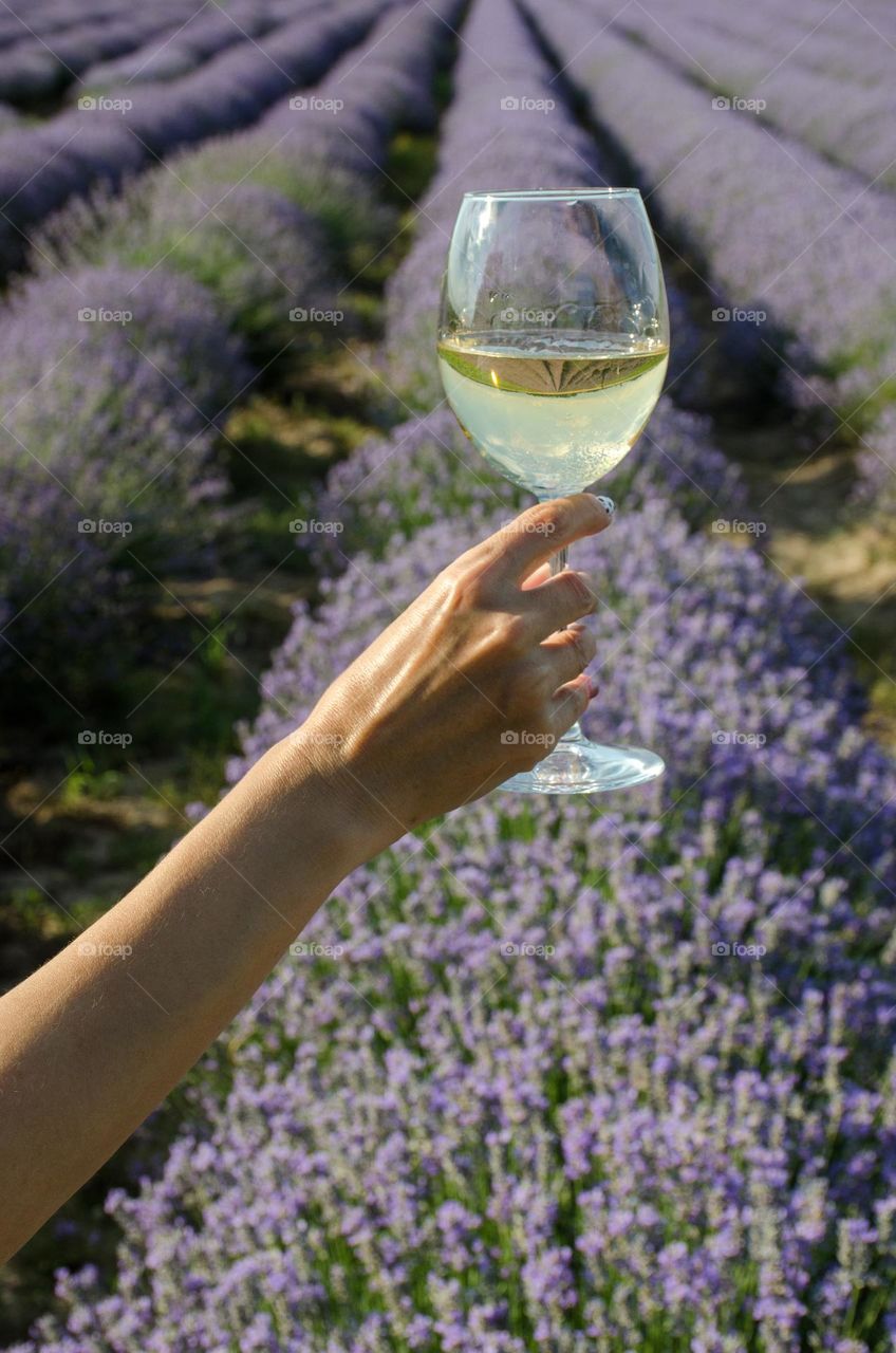 A glass of Wine in lavender field