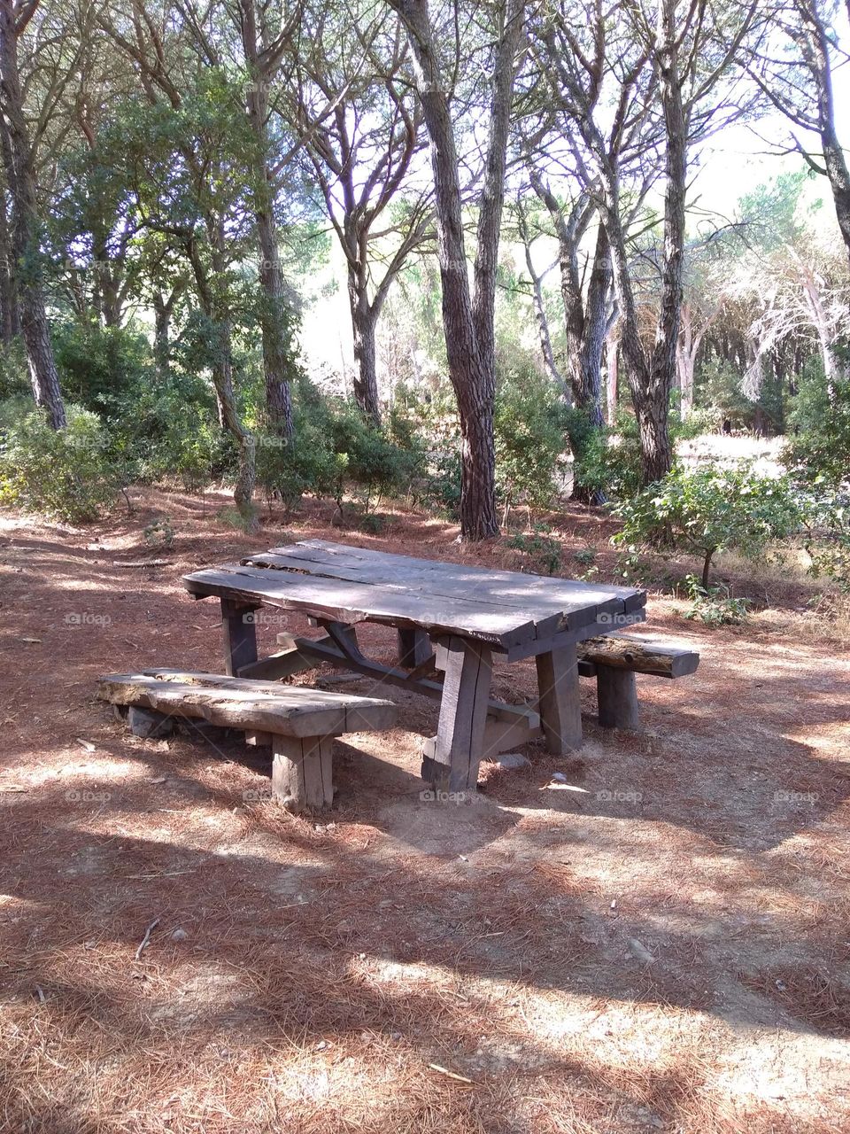 Battle: Countryside vs City