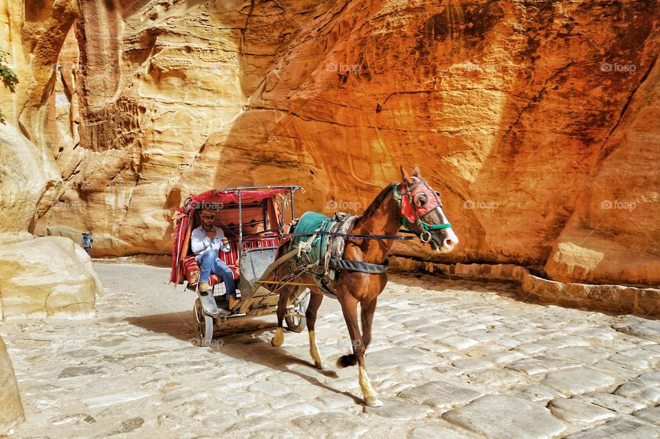 Chariot in the alley of petra in Jordan