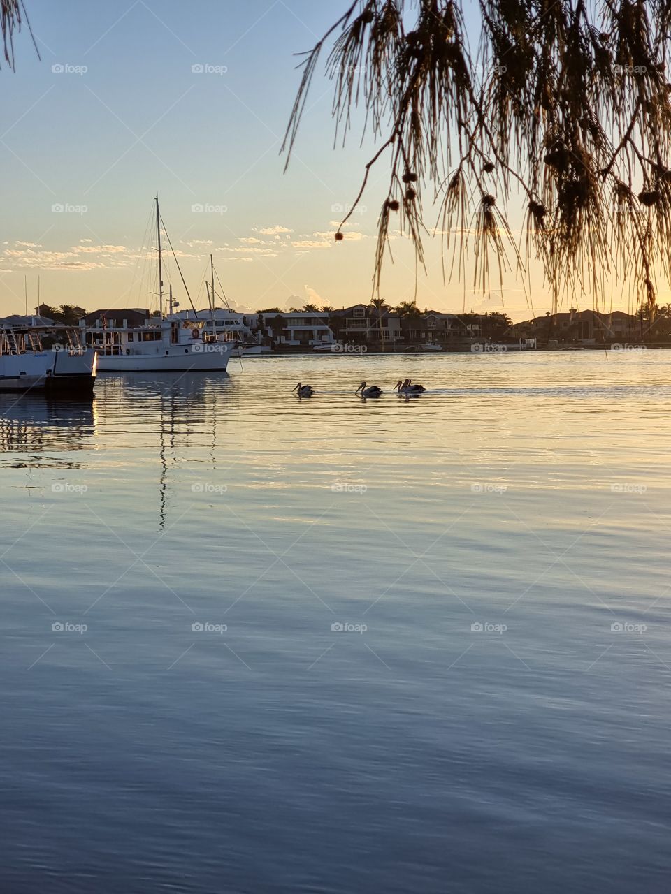 Sea ships in the bay