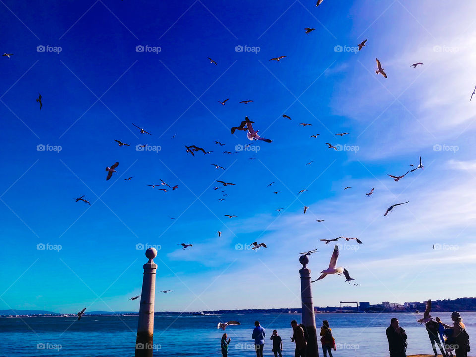 Wonderful afternoon....