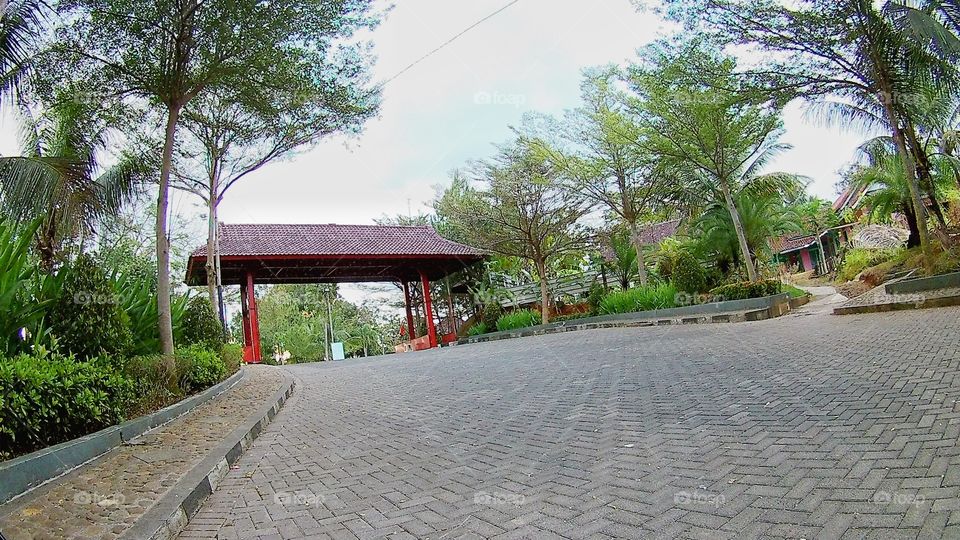 the road to the gate is surrounded by trees