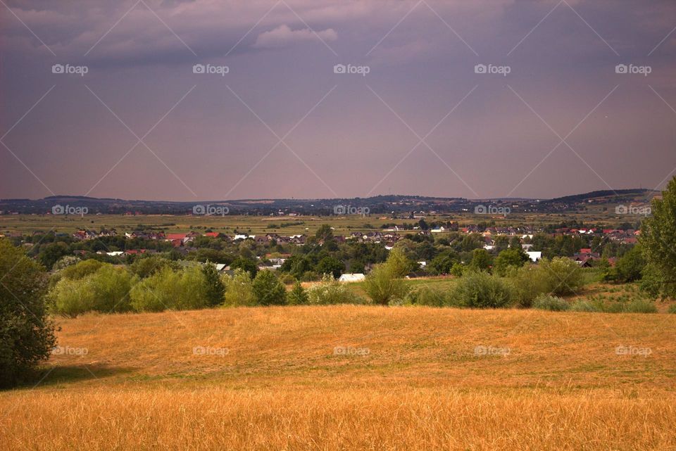 The view from the outskirts of the forest.