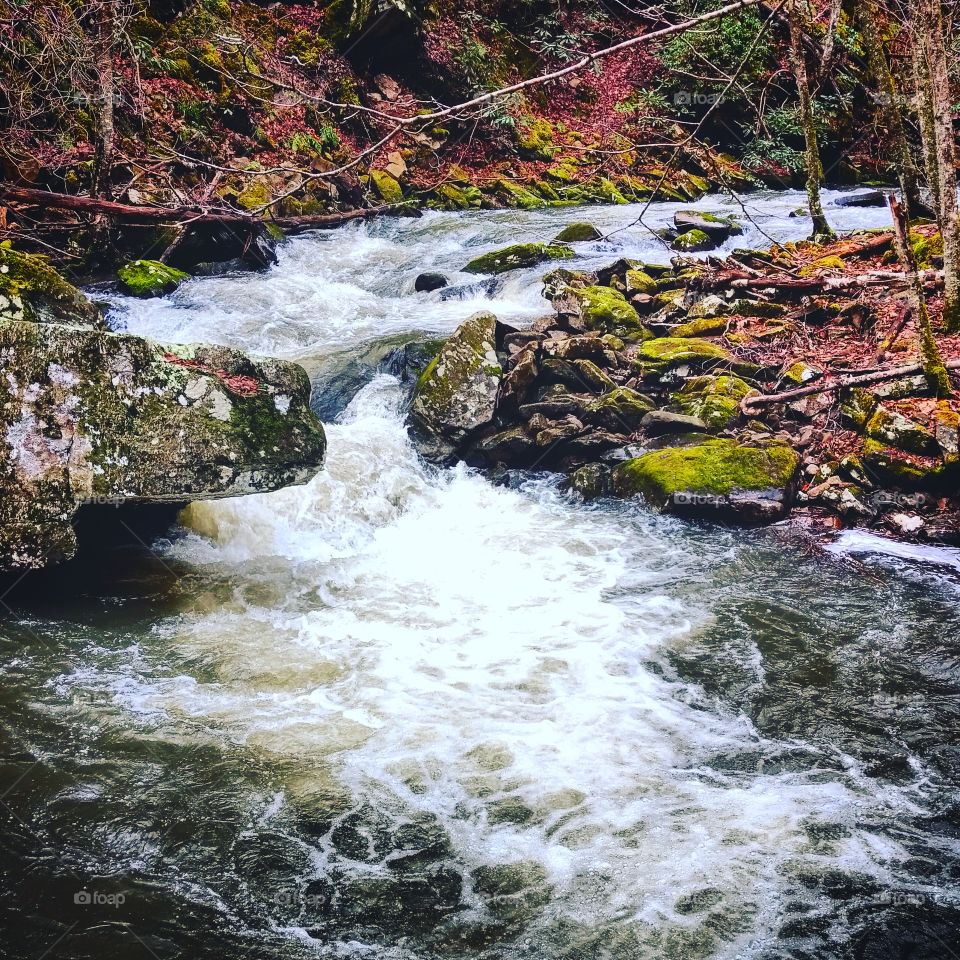 Colorful River Shot