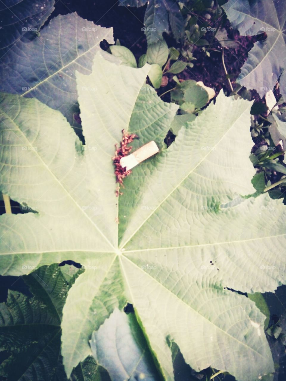 classic pics,lovely picture,best photo for all,A great photo,a photo for everyone,a memorable photo,a no.  photo,a cherished photo,a beautiful photo,a great photo for the best people,a sample of beautiful photography