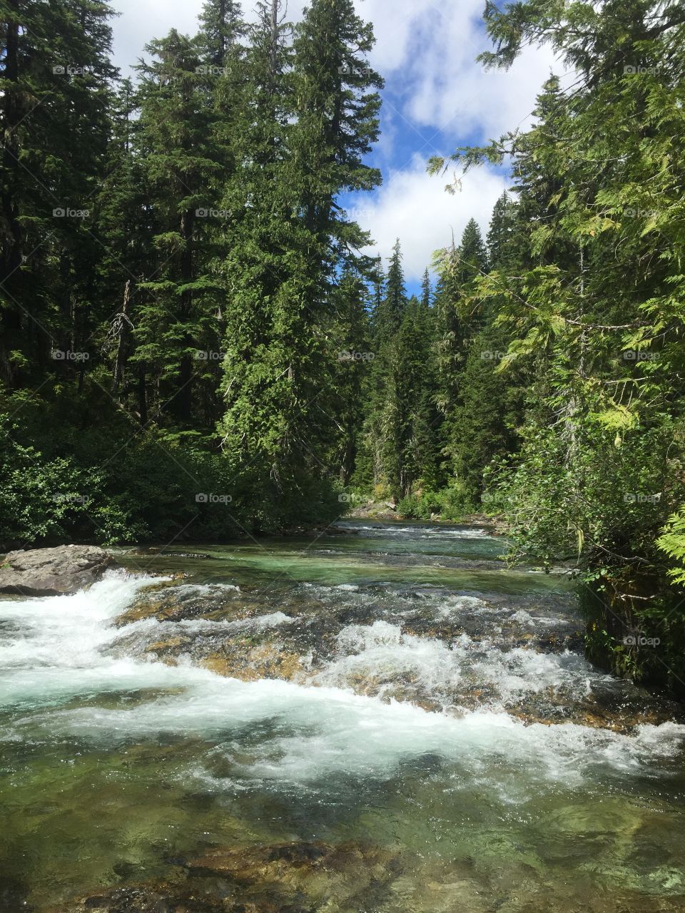 River Beauty