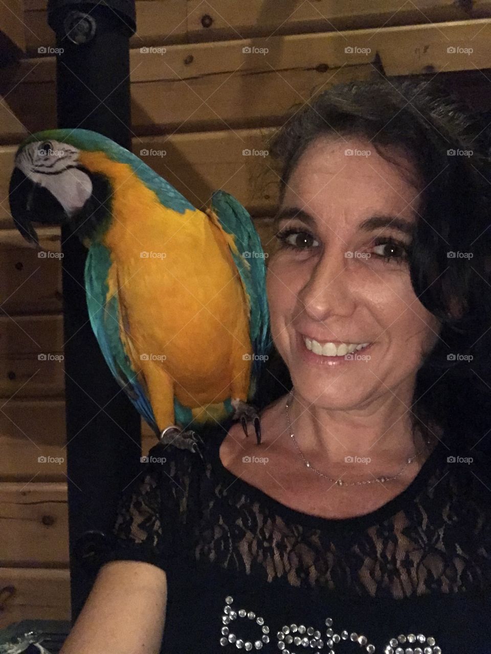 Polly want a cracker?