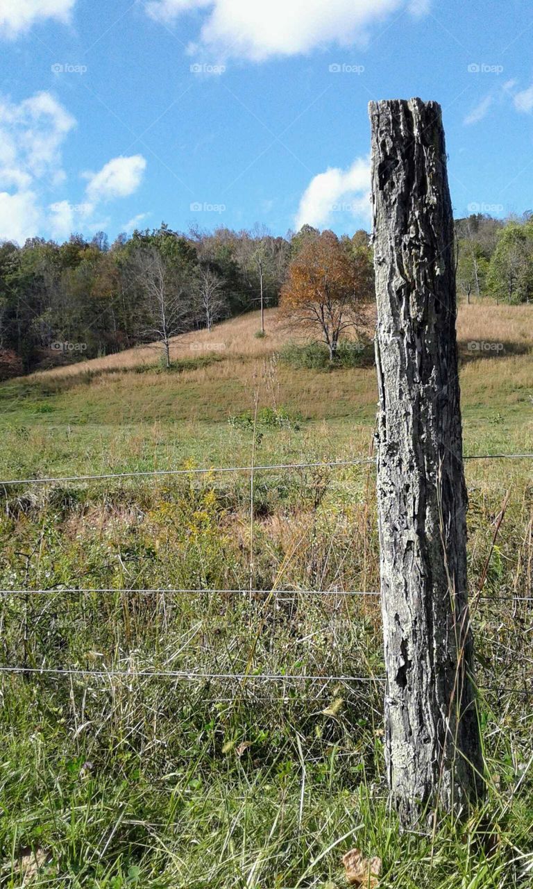 The farm in fall