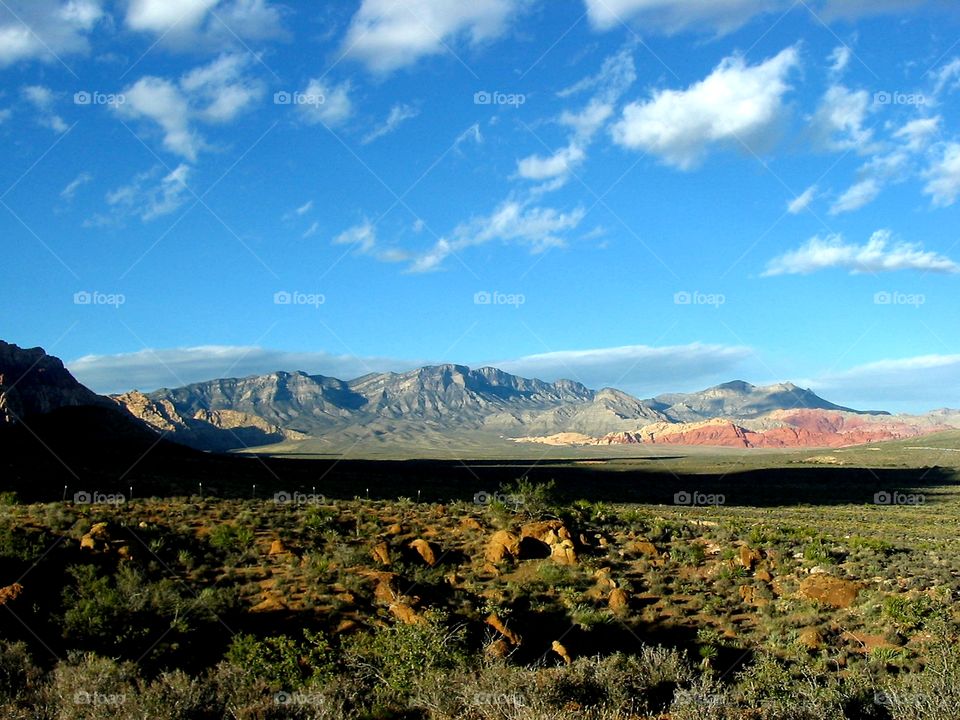 spring mountain range Mojave desert