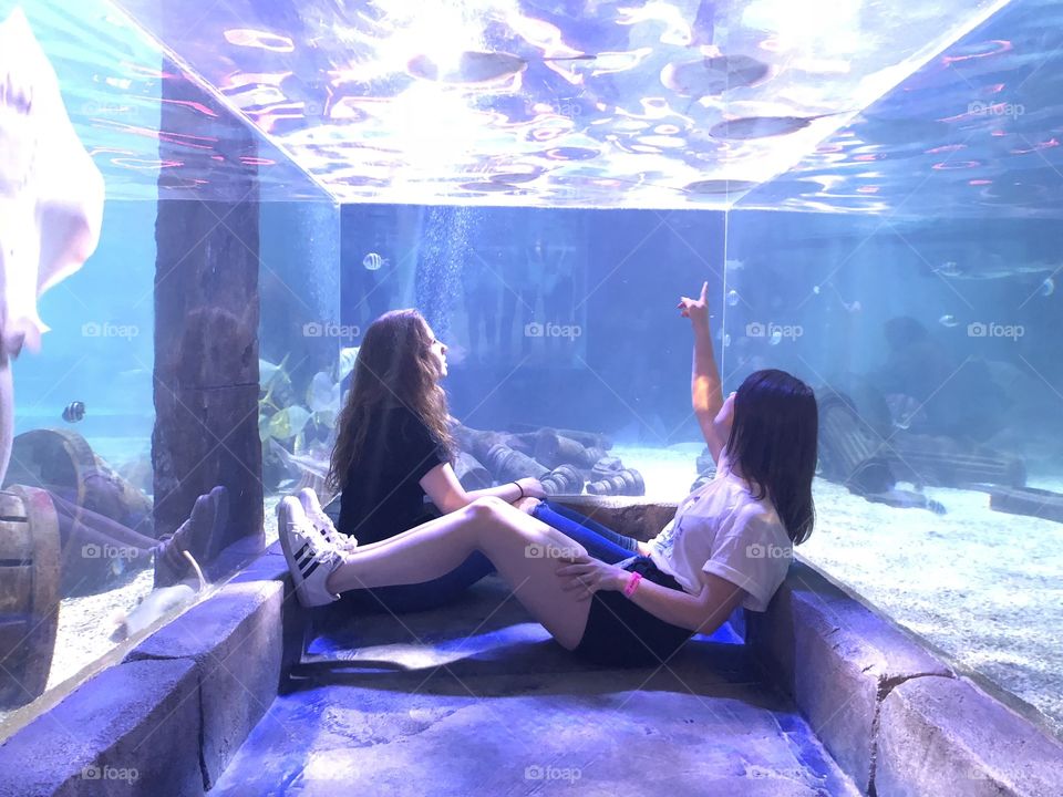 At the aquarium 