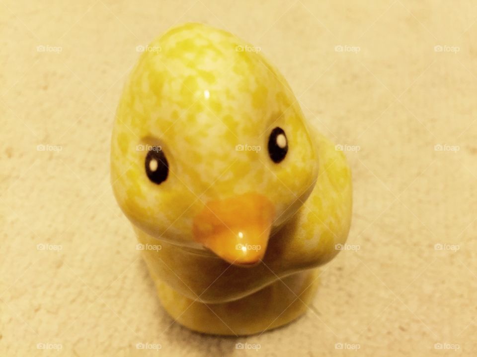 My duck 