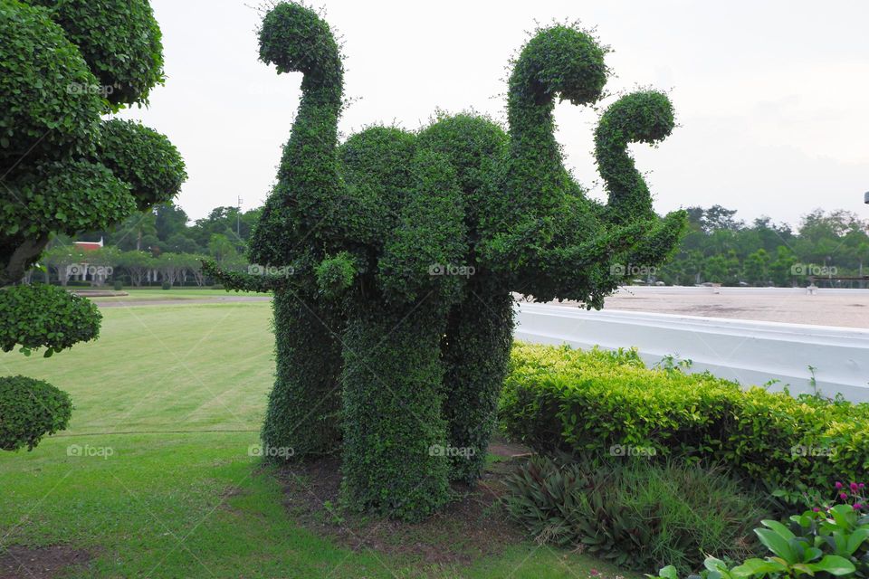 Ivy tree trimmed in the shape of an elephant.