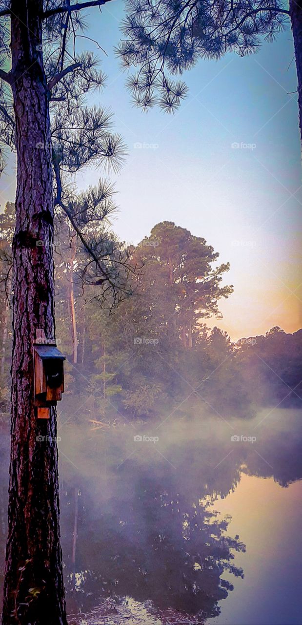 autumn reflection on the lake