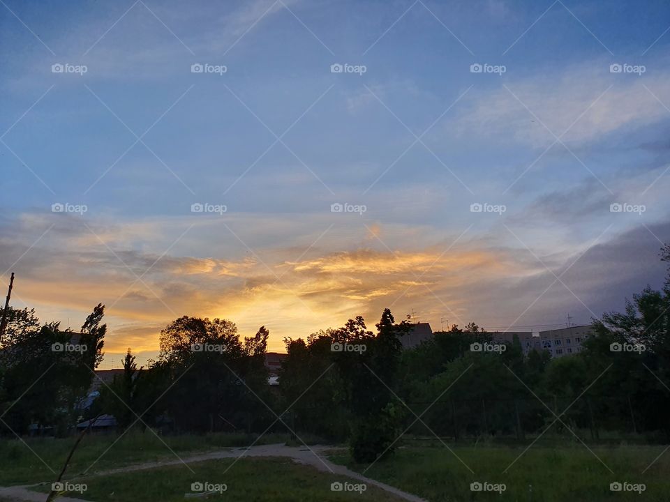 urban sunset view with trees and building