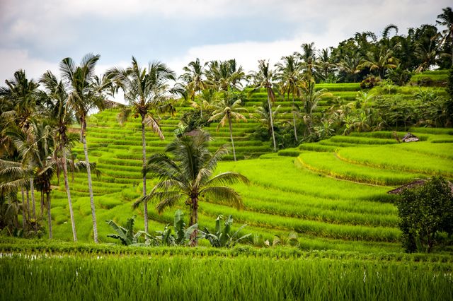 Beautifull view in indonesia