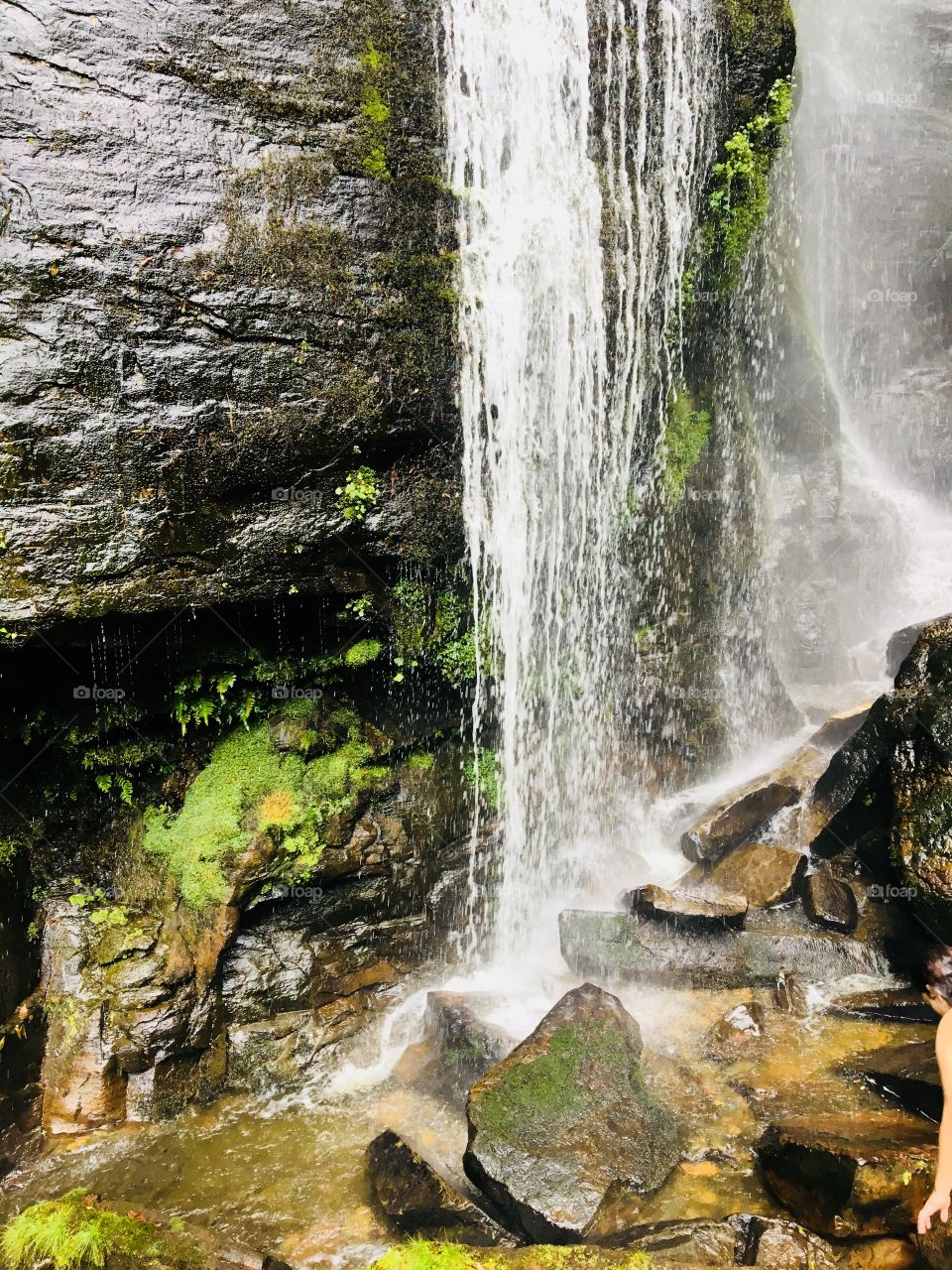 What’s your bill I have so my going to miss