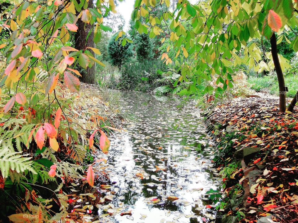 Herbst Im Botanischen Garten