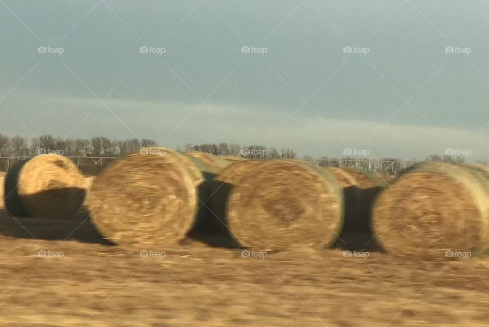 Hay bales