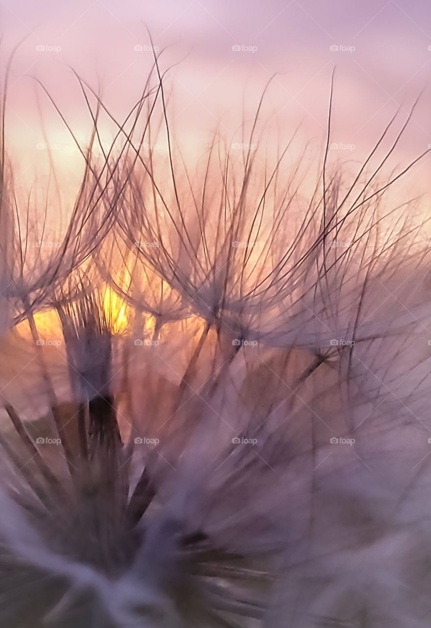 Sunset over the prairie land in Minnesota.