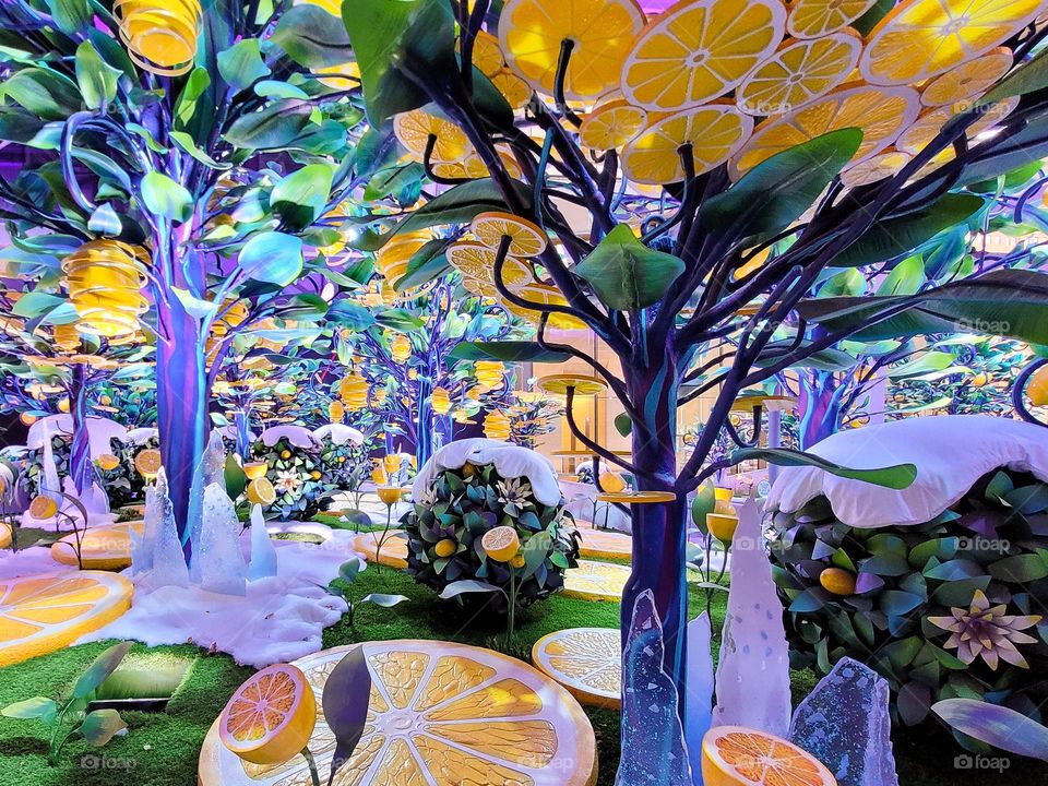 Citrovia, New York City