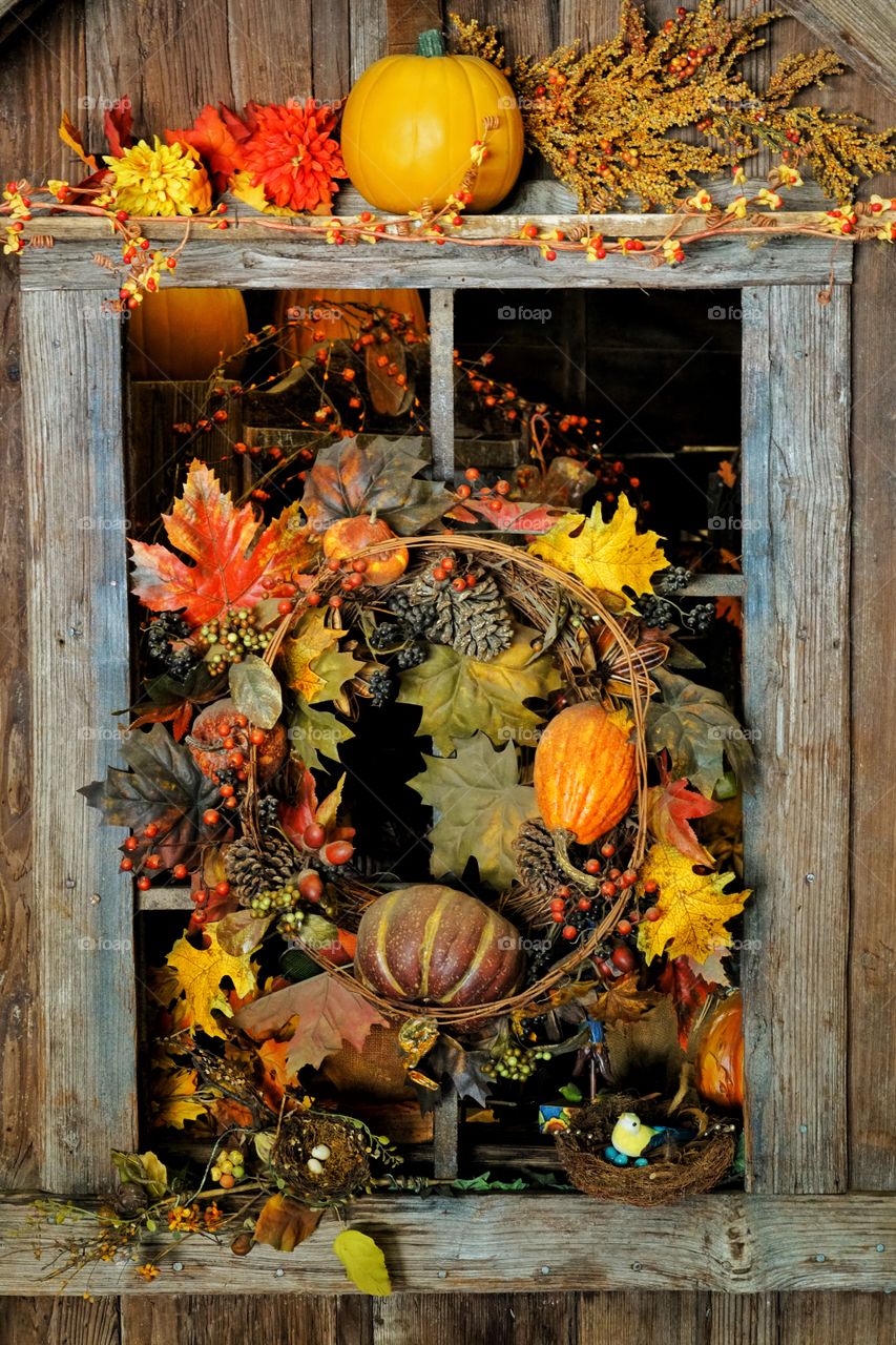 Thanksgiving Decor