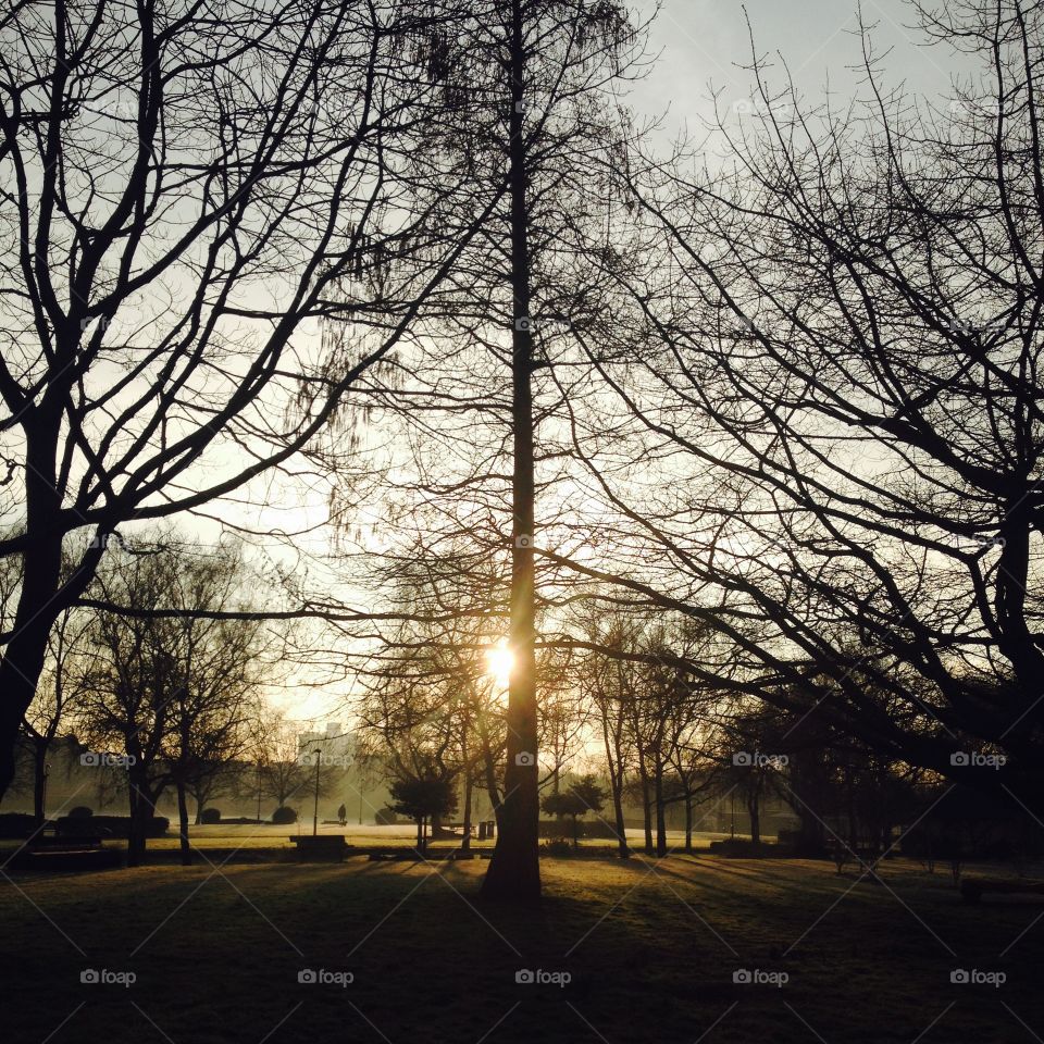 Sunrise in the Park . Winter Sunrise  at Haggerston Park, London 