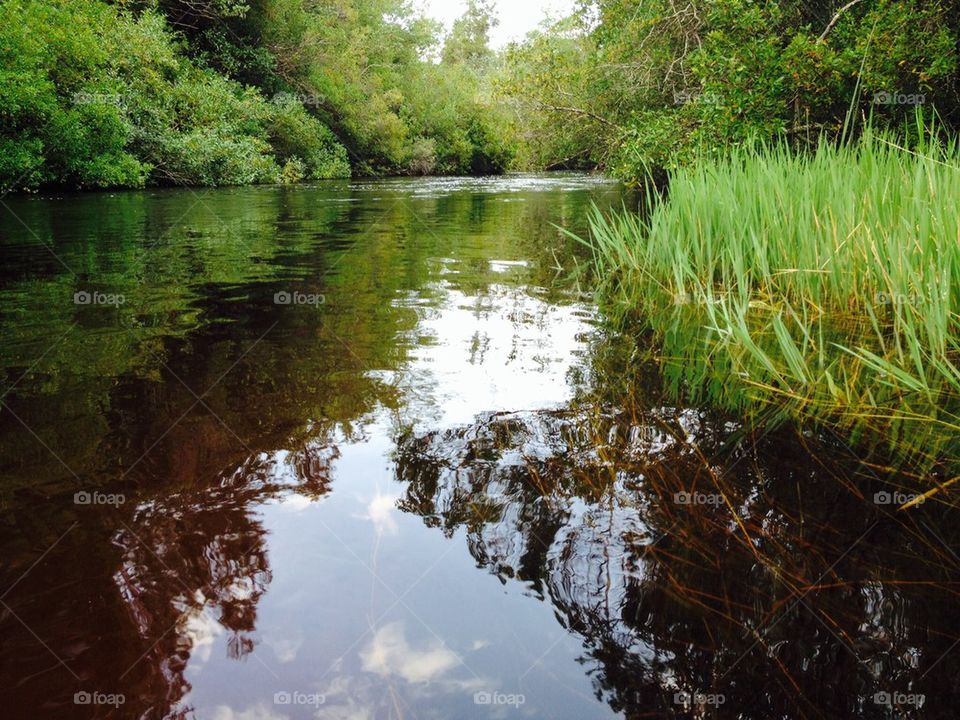 Calm waters 