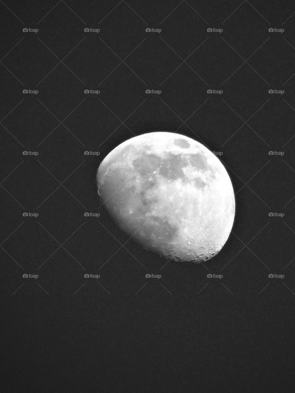 moon light
