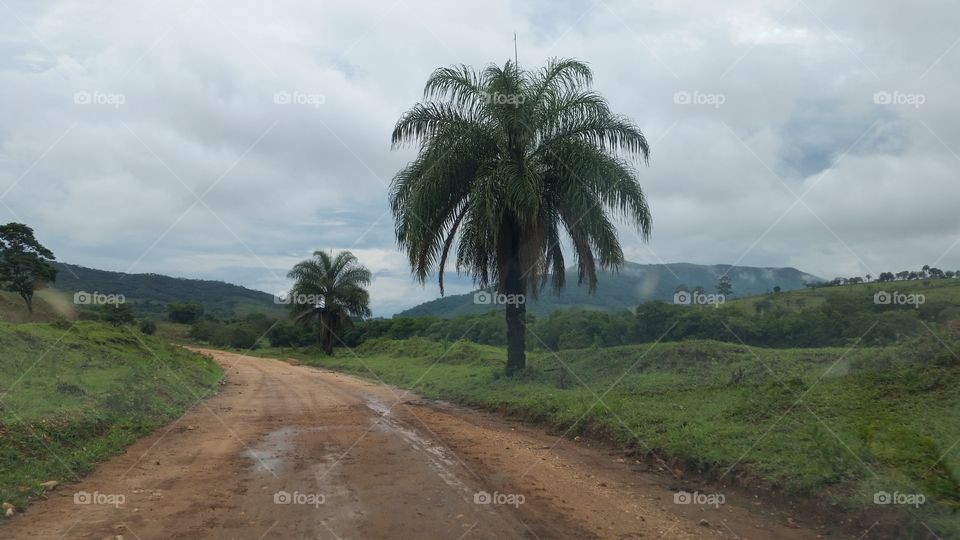 Empty dirt road along with grass