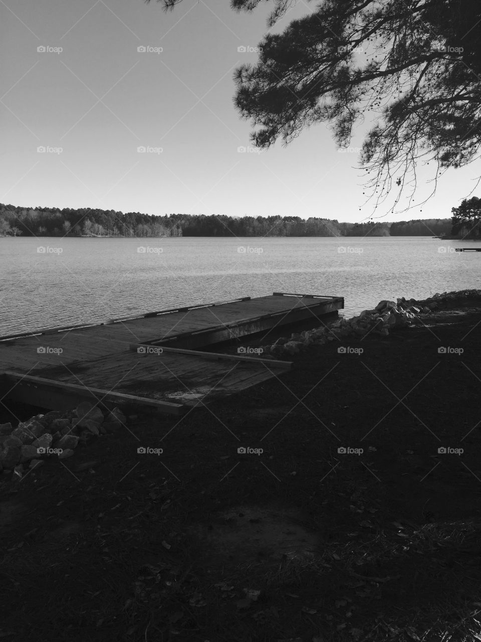 Black and white view of the lake!