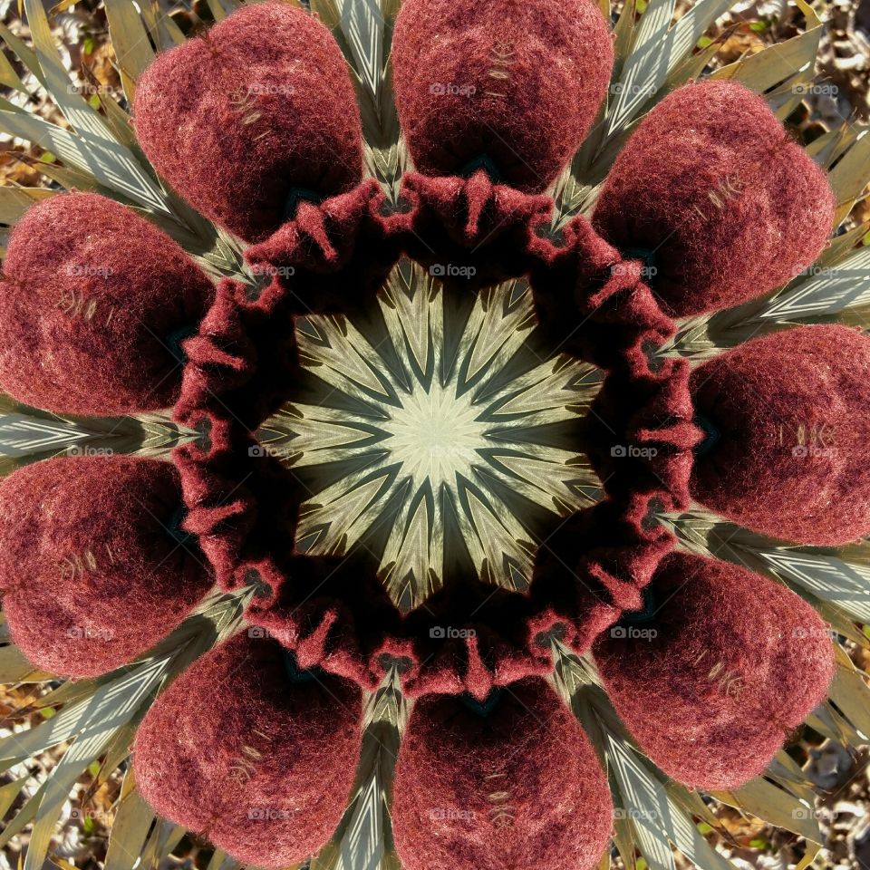 Red flower mandala