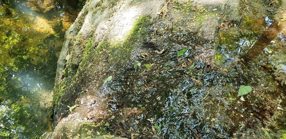 moss on the rocks