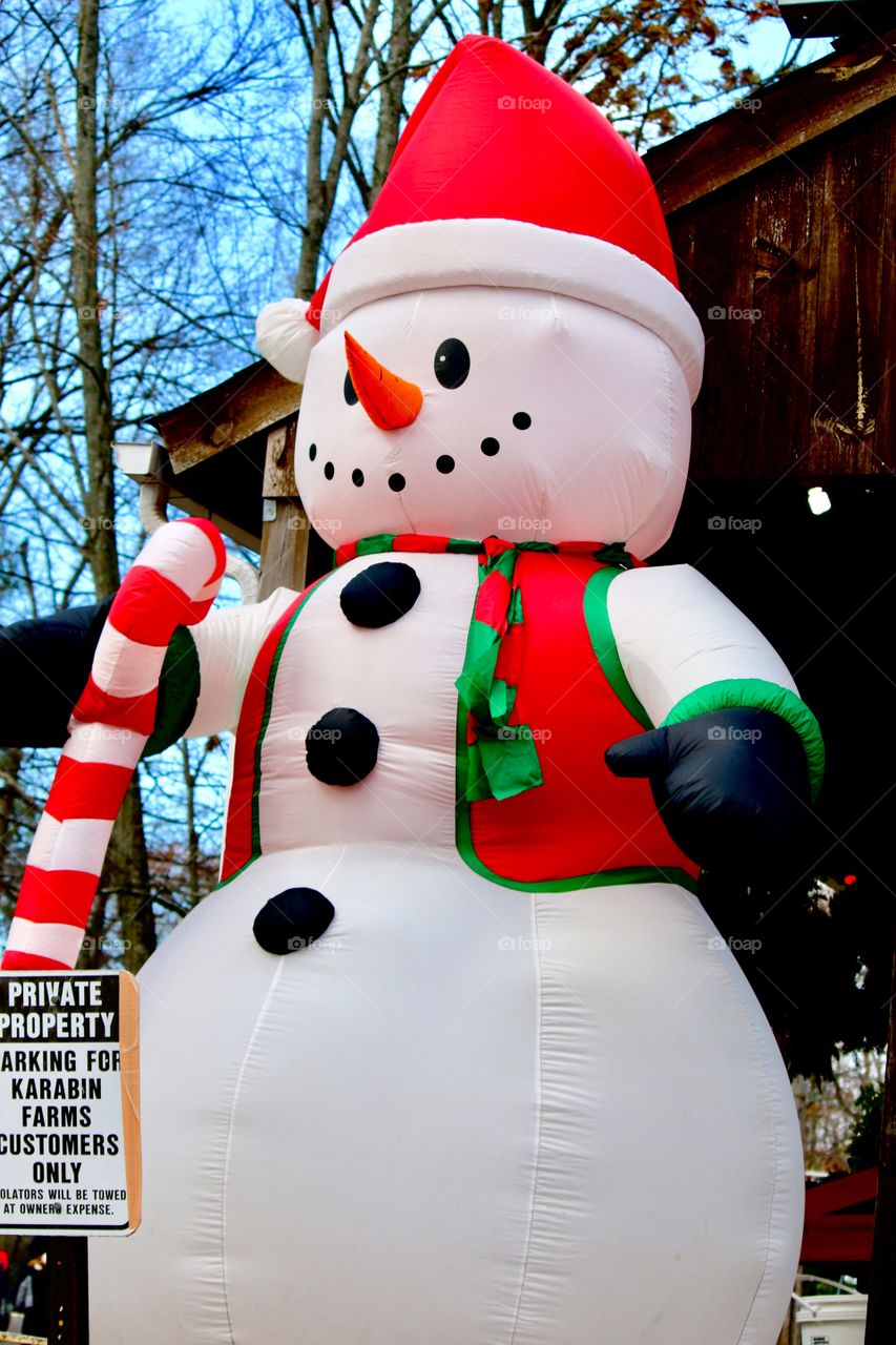 Snowman at the farm