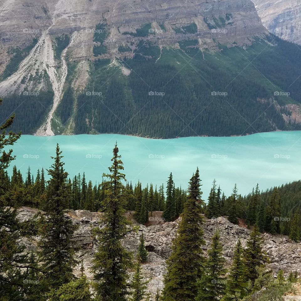 Peyto Lake Jasper National Park