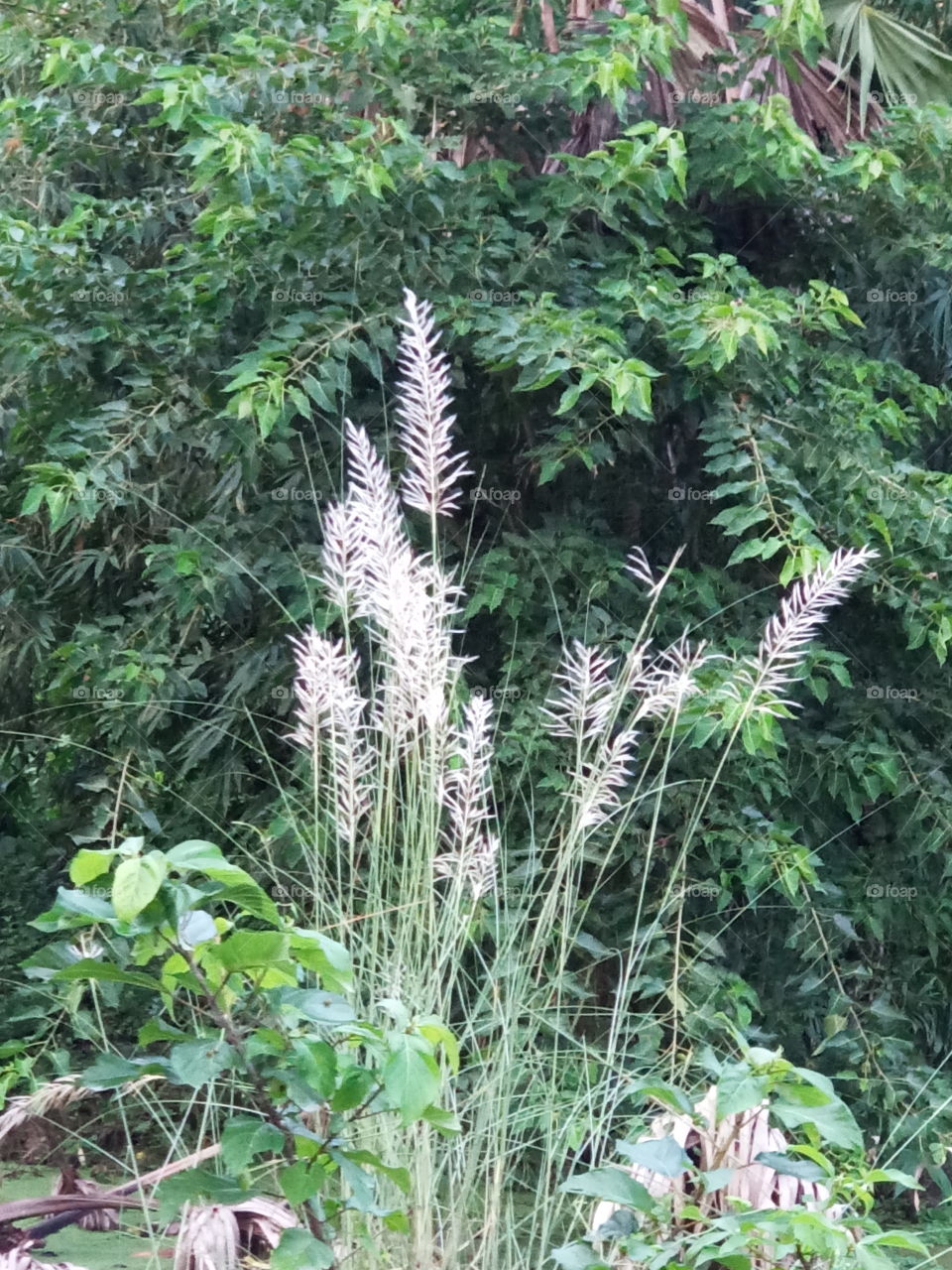 it's alarming autumn