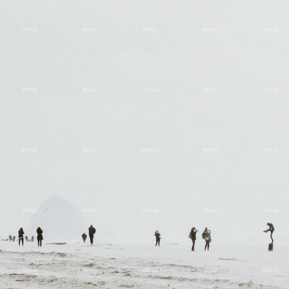 people on the beach