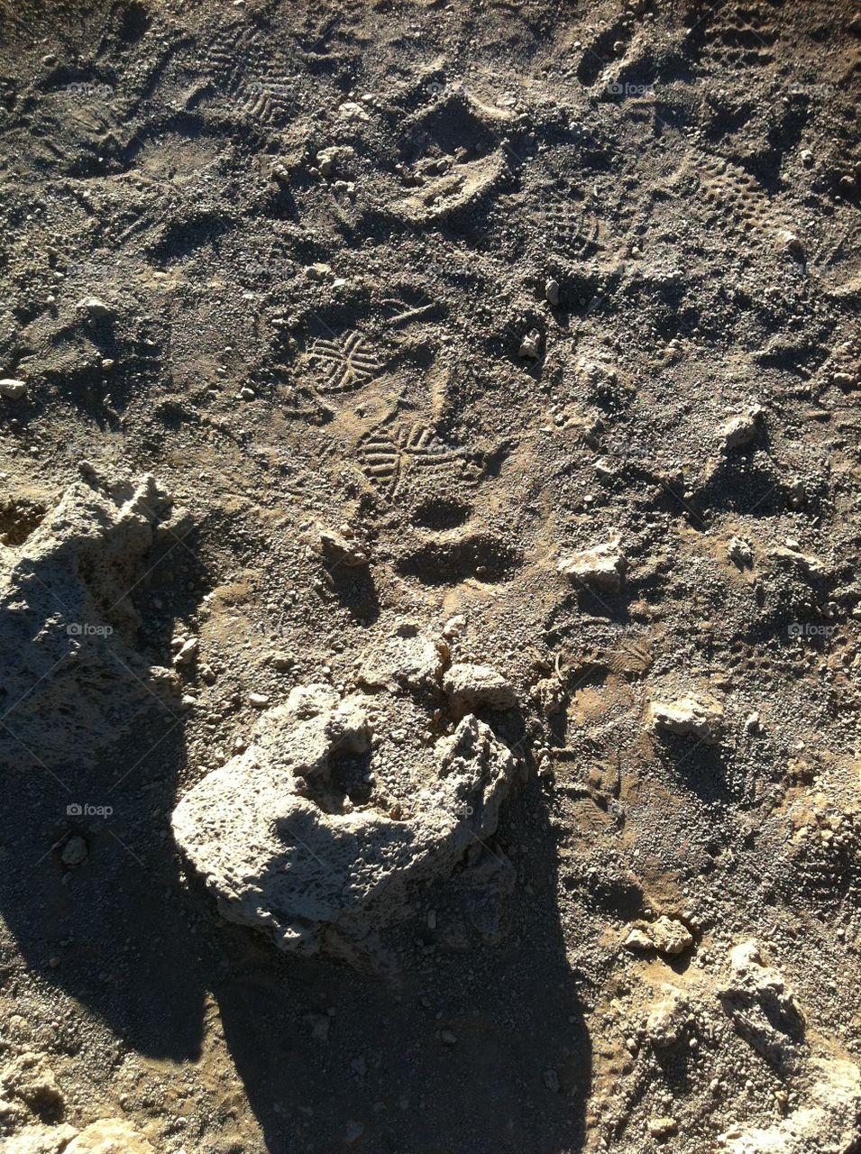 Haleakala National Park