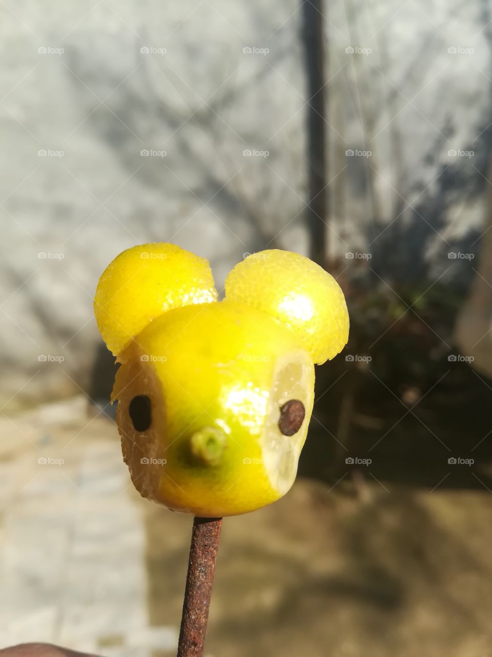 Lemon with art