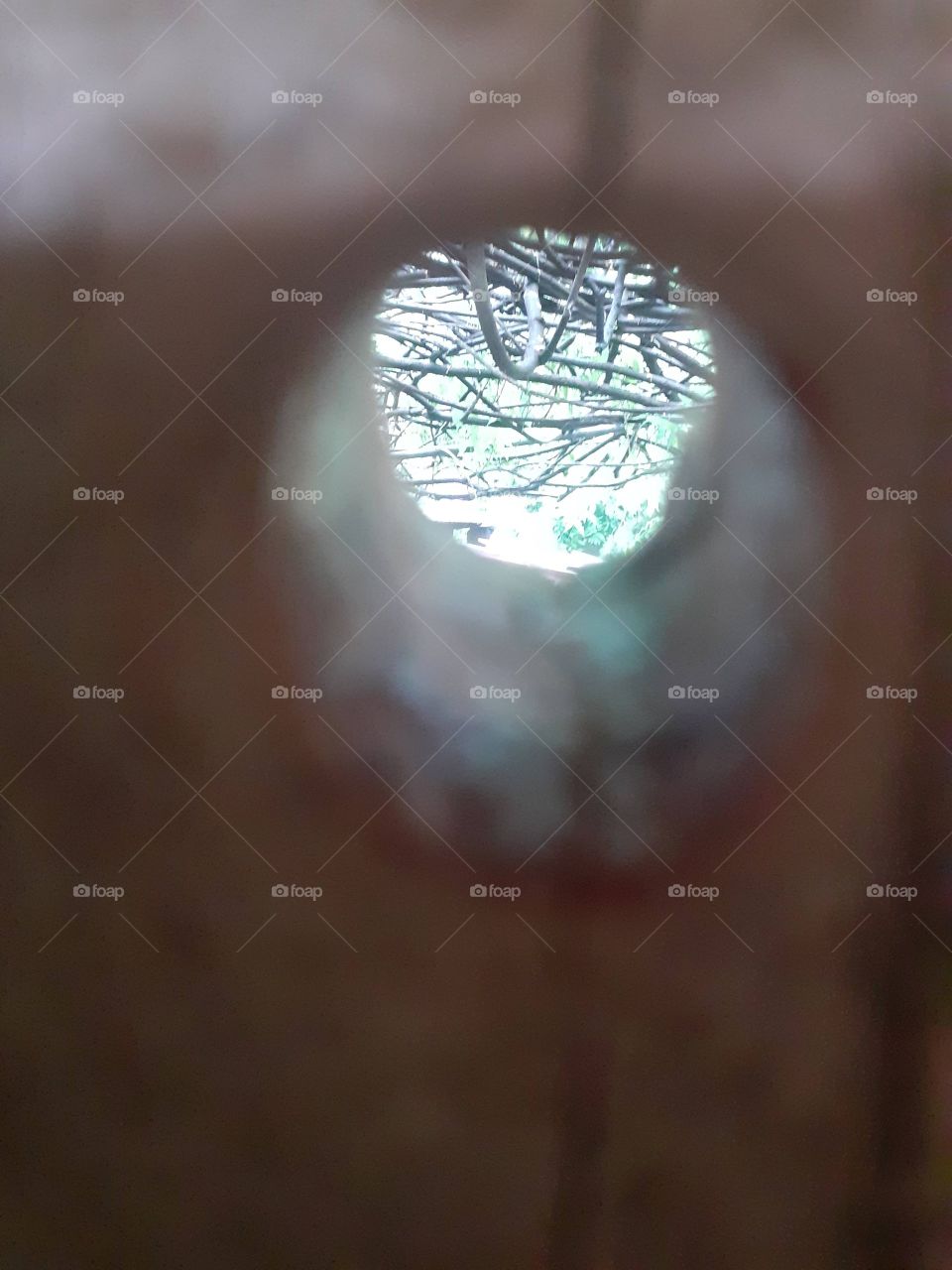 naturaleza por pequeño espacio