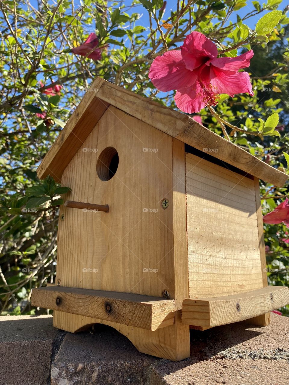 Wooden birdhouse with hibiscus flowers above to it
