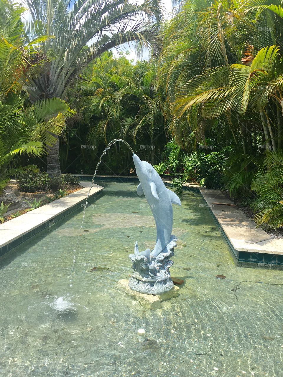 Dolphin fountain 