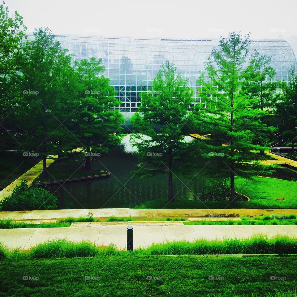 Oklahoma City Myriad Botanical Garden. A very mediative location
